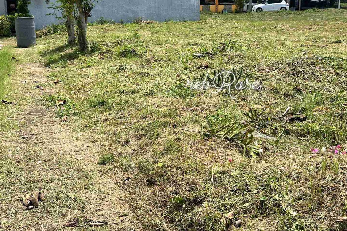 Land for Sale in Biasong, Talisay, Cebu – photo 4