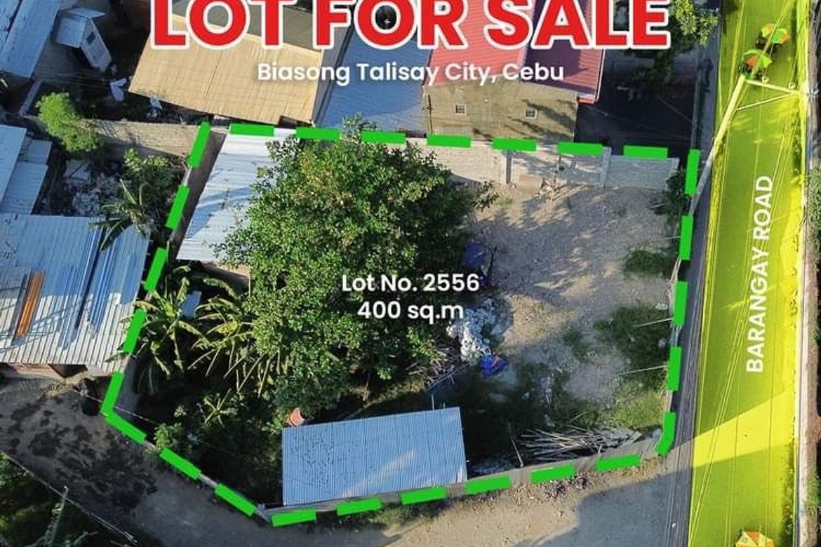 Land for Sale in Biasong, Talisay, Cebu – photo 2