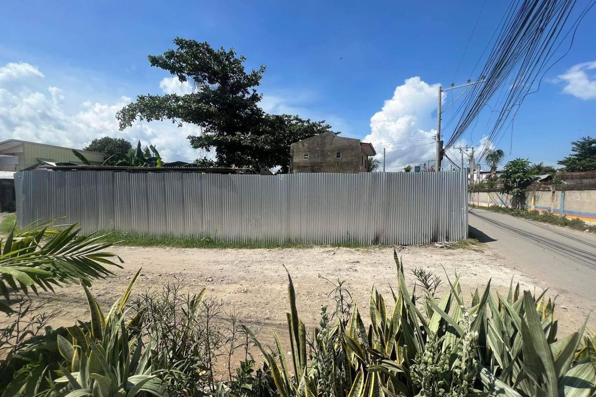 Land for Sale in Biasong, Talisay, Cebu – photo 4