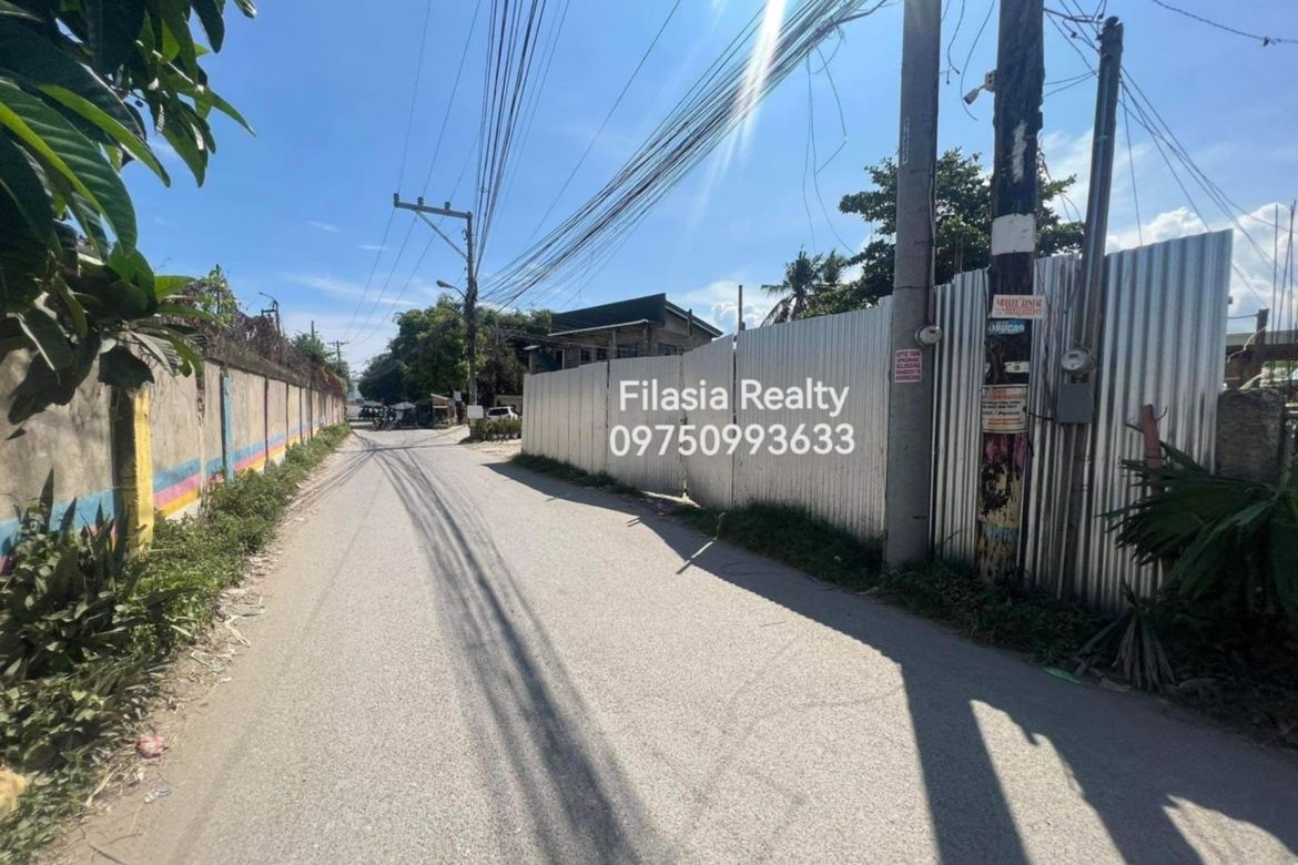Land for Sale in Biasong, Talisay, Cebu – photo 6