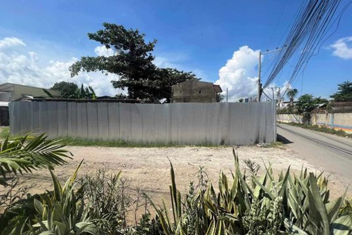 Land for Sale in Biasong, Talisay, Cebu – photo 6