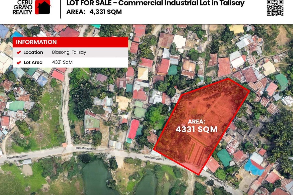 Land for Sale in Biasong, Talisay, Cebu