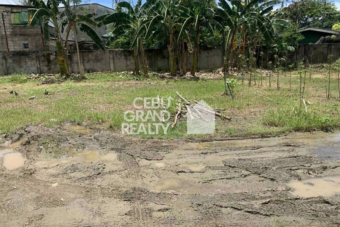 Land for Sale in Biasong, Talisay, Cebu – photo 3
