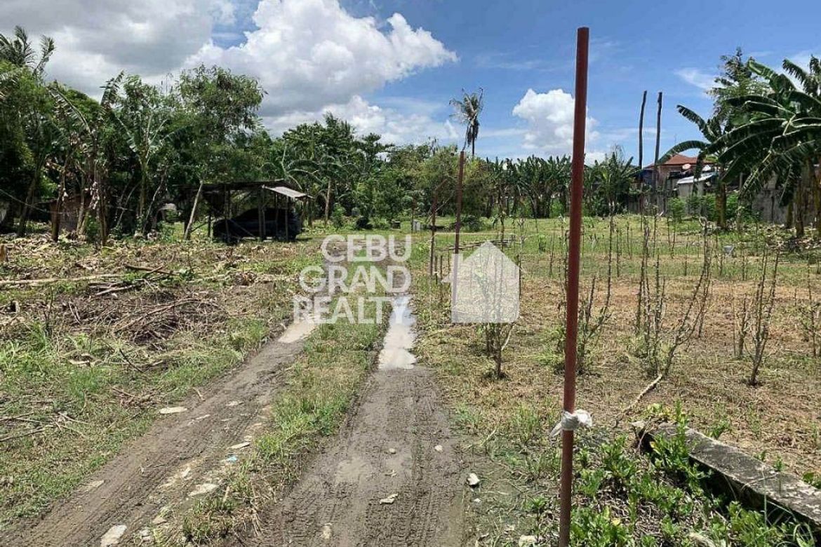 Land for Sale in Biasong, Talisay, Cebu – photo 7