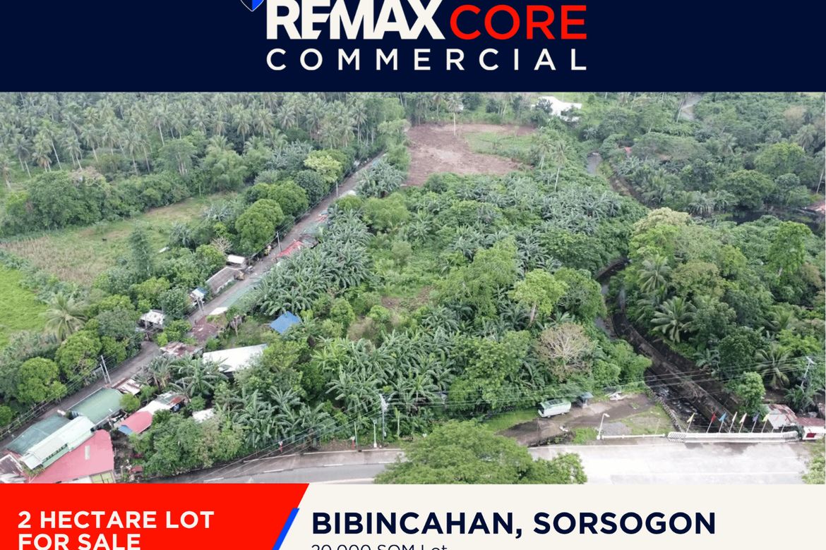 Land for Sale in Bibincahan, Sorsogon, Sorsogon – photo 3