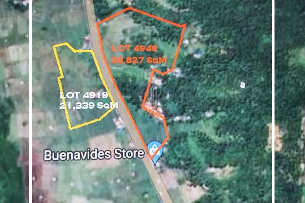Land for Sale in Bibincahan, Sorsogon, Sorsogon – photo 2