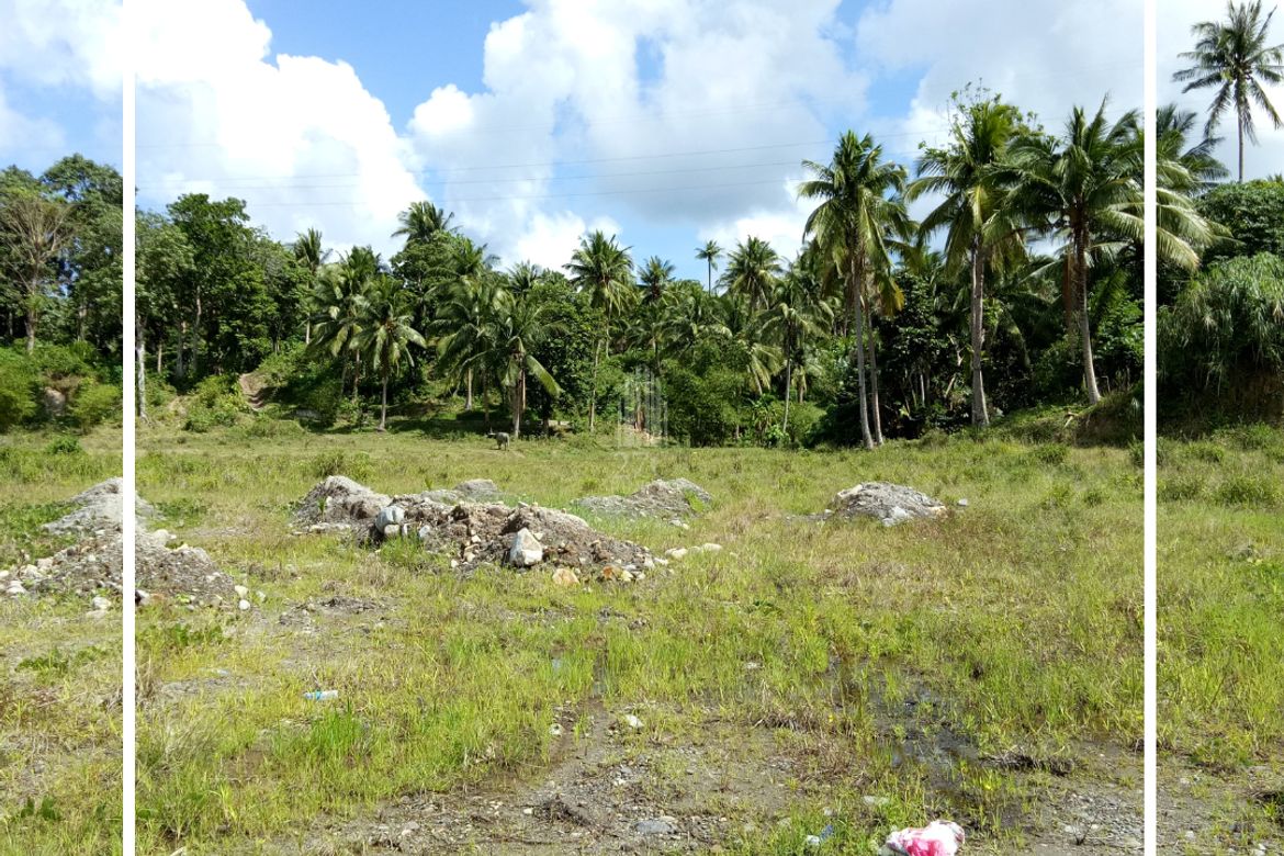 Land for Sale in Bibincahan, Sorsogon, Sorsogon – photo 4