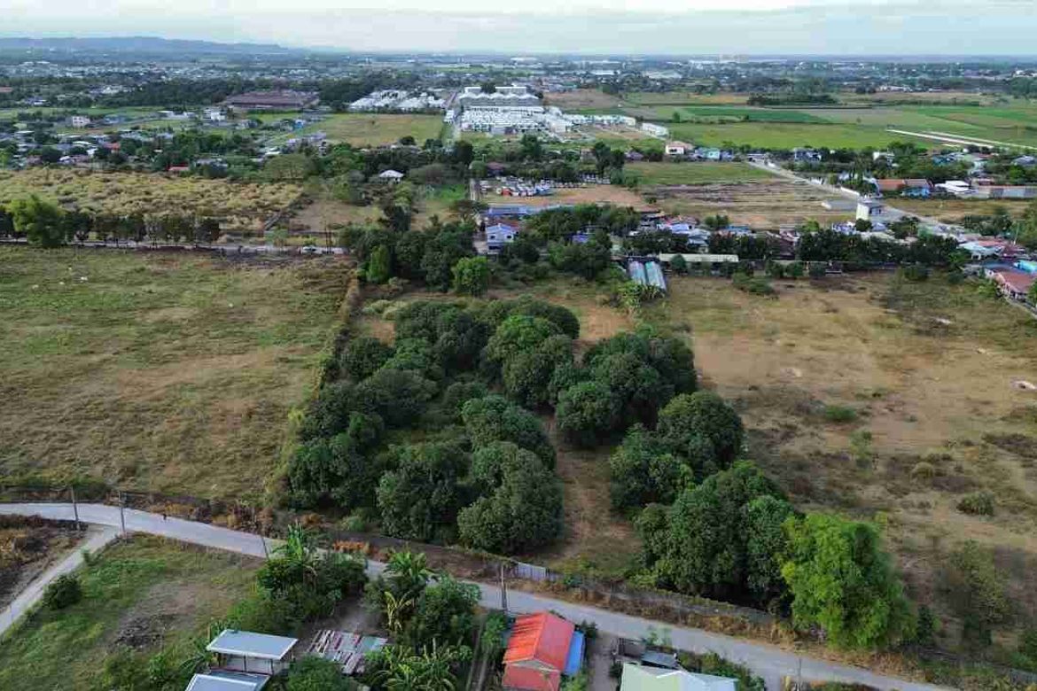 Land for Sale in Bical, Mabalacat, Pampanga – photo 2