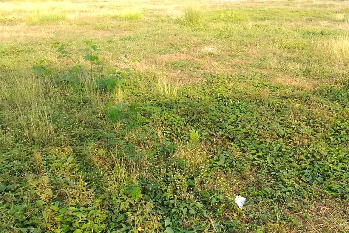 Land for Sale in Biclatan, General Trias, Cavite – photo 2