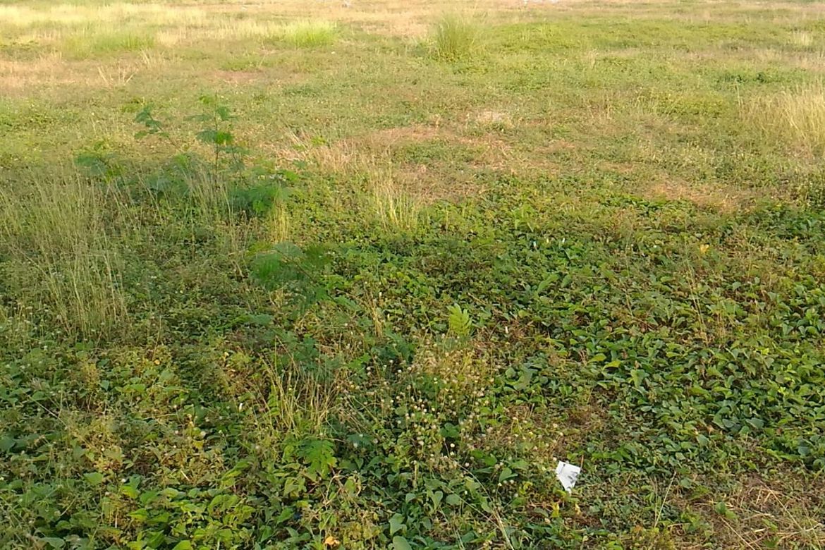 Land for Sale in Biclatan, General Trias, Cavite – photo 3