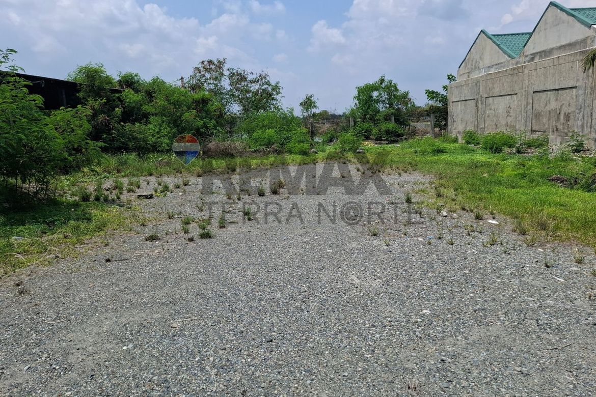 Land for Sale in Biec, Binmaley, Pangasinan – photo 2