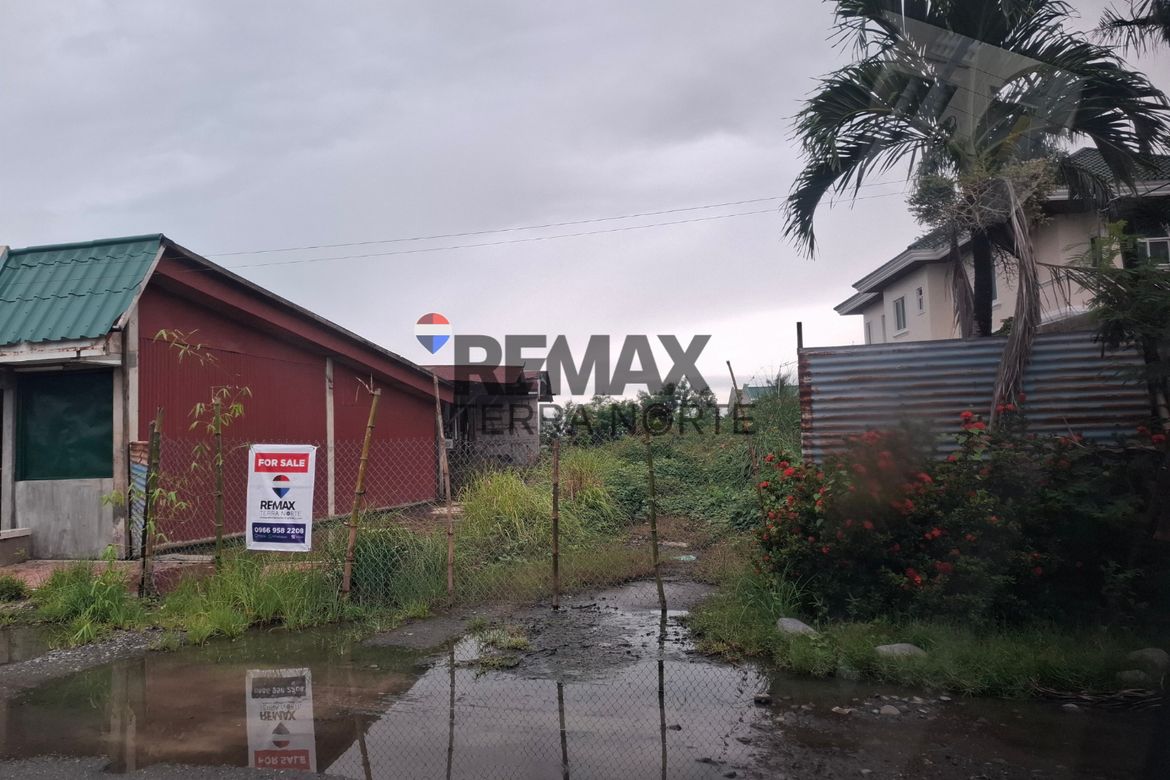 Land for Sale in Biec, Binmaley, Pangasinan – photo 7