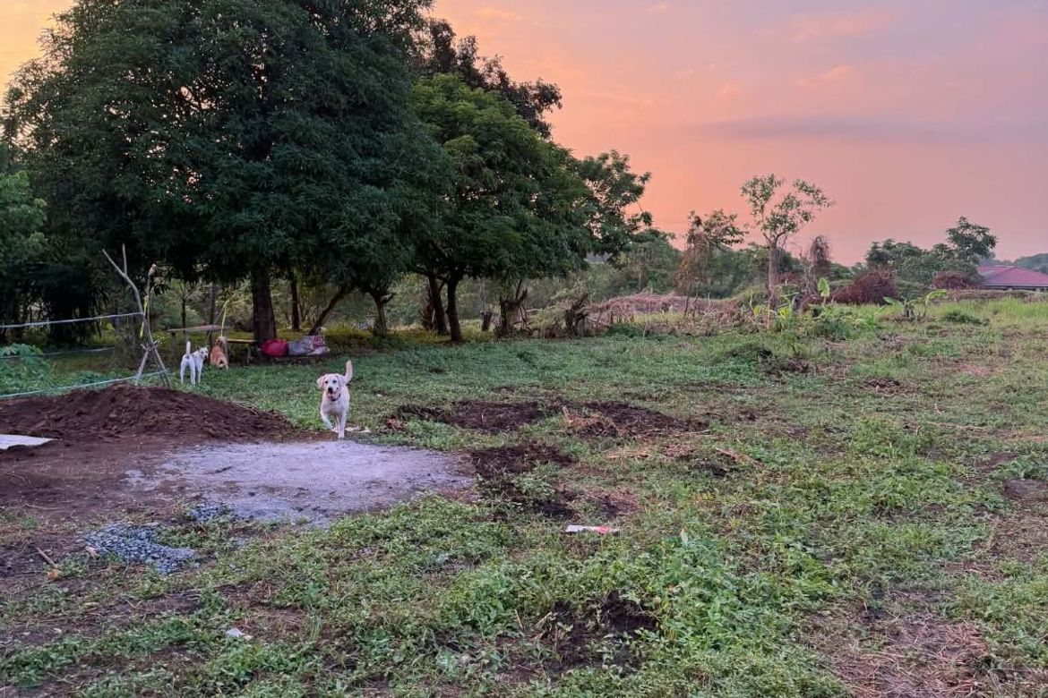 Land for Sale in Biga I, Silang, Cavite – photo 4