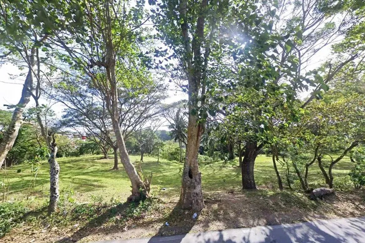 Land for Sale in Biga, Tanza, Cavite – photo 2