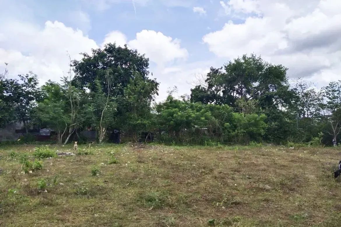 Land for Sale in Biga, Tanza, Cavite – photo 3