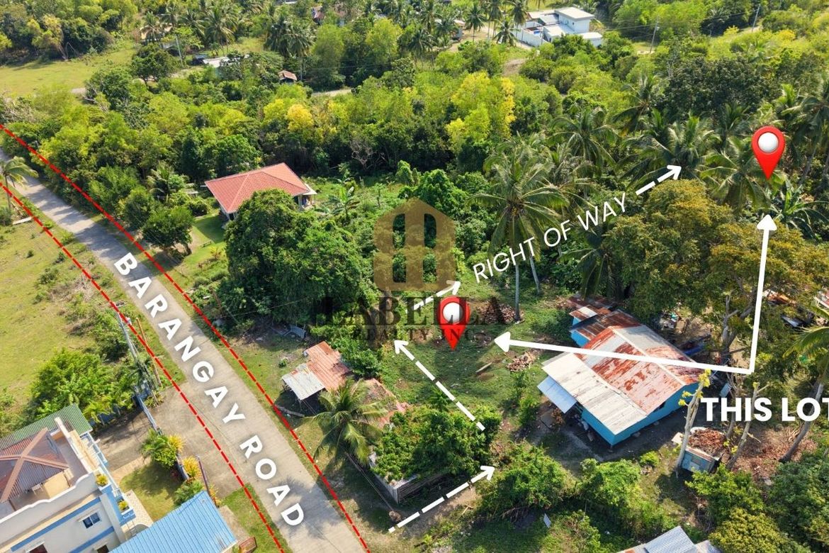 Land for Sale in Biking, Dauis, Bohol – photo 2