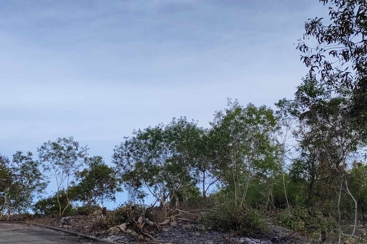 Land for Sale in Biking, Dauis, Bohol