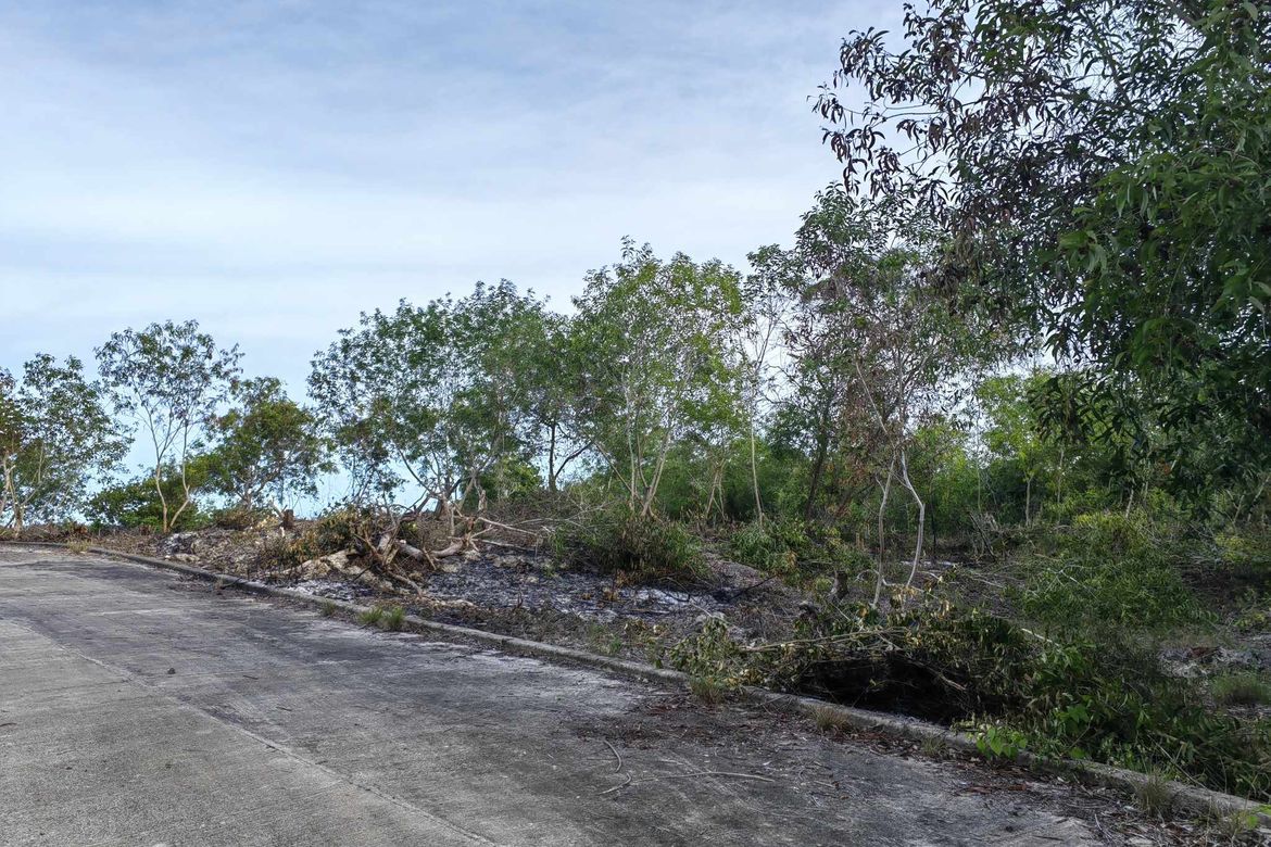 Land for Sale in Biking, Dauis, Bohol – photo 2