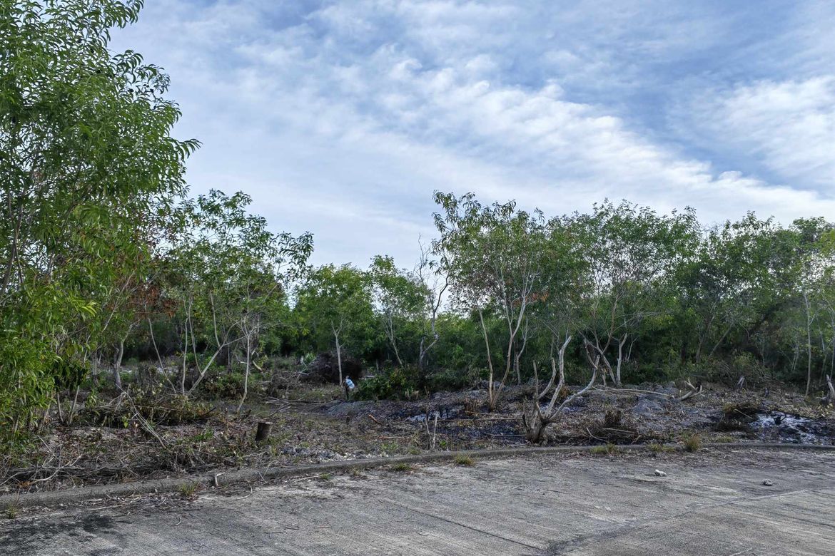 Land for Sale in Biking, Dauis, Bohol – photo 3