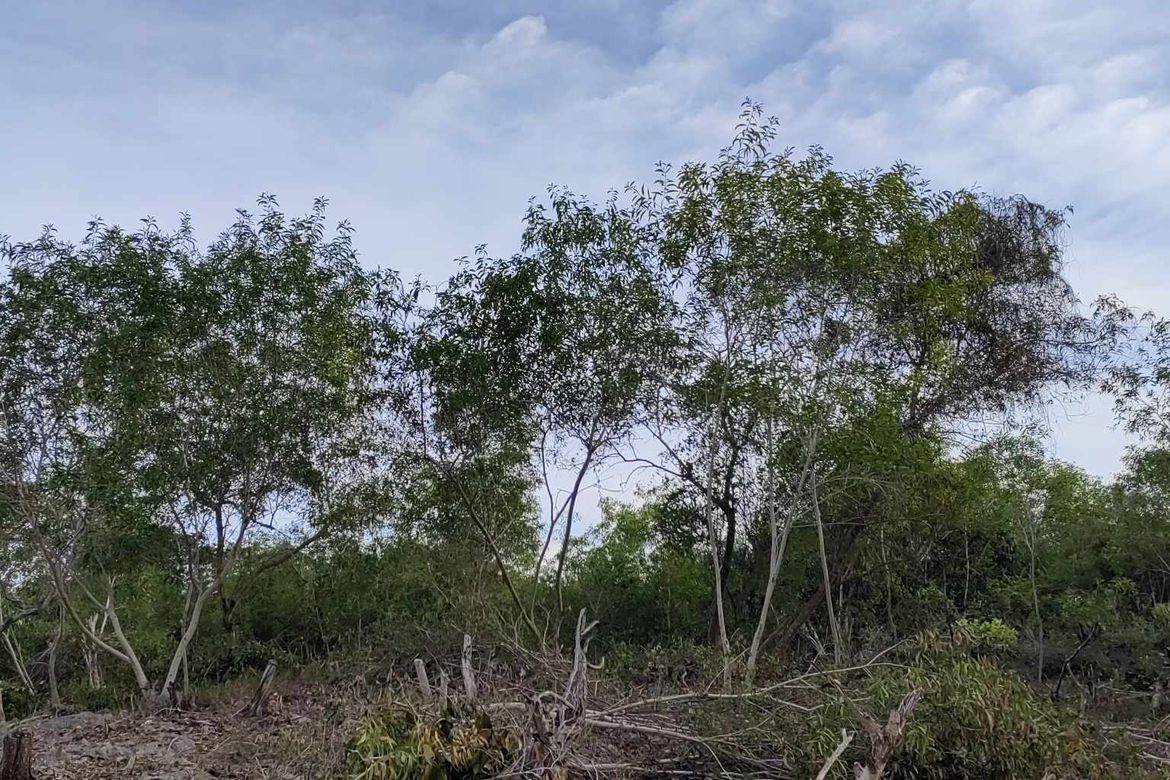 Land for Sale in Biking, Dauis, Bohol – photo 4