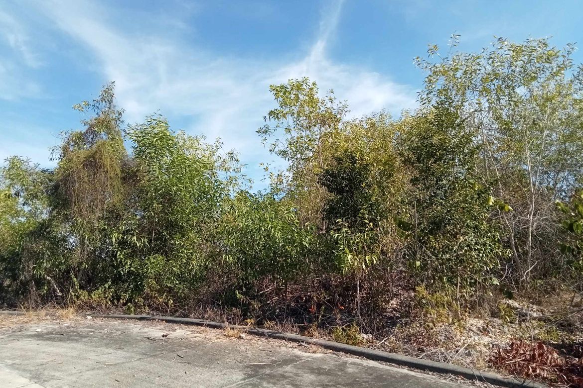 Land for Sale in Biking, Dauis, Bohol – photo 5