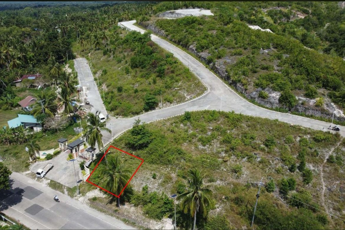 Land for Sale in Biking, Dauis, Bohol