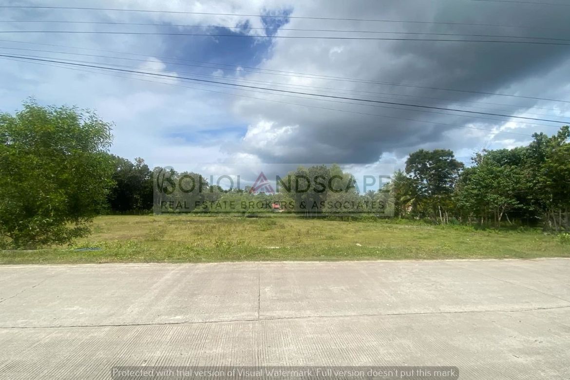 Land for Sale in Biking, Dauis, Bohol