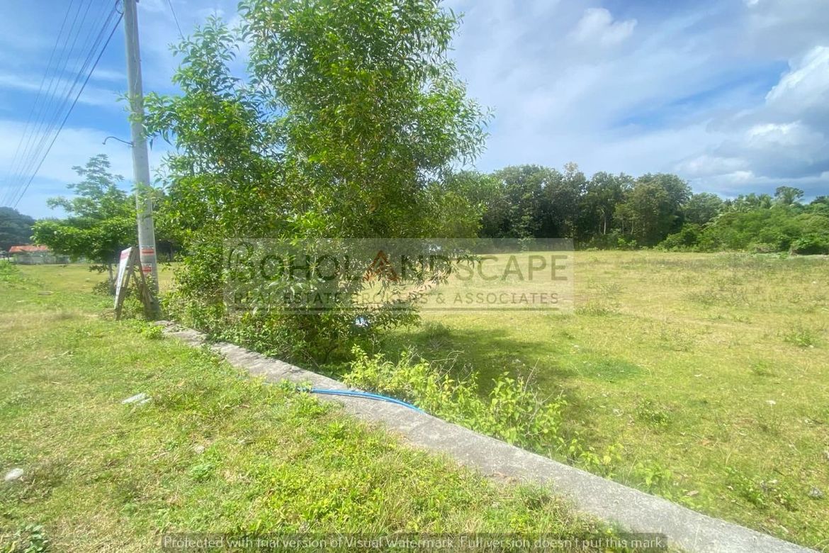 Land for Sale in Biking, Dauis, Bohol – photo 6