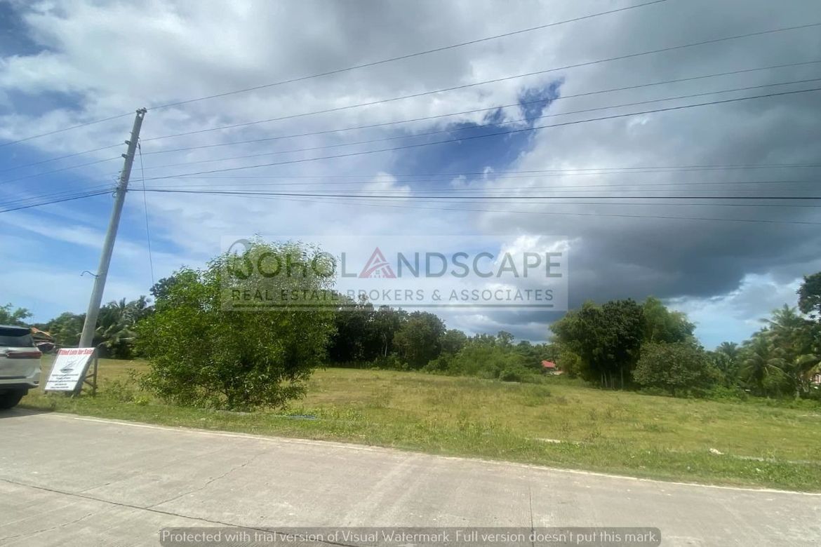 Land for Sale in Biking, Dauis, Bohol – photo 7