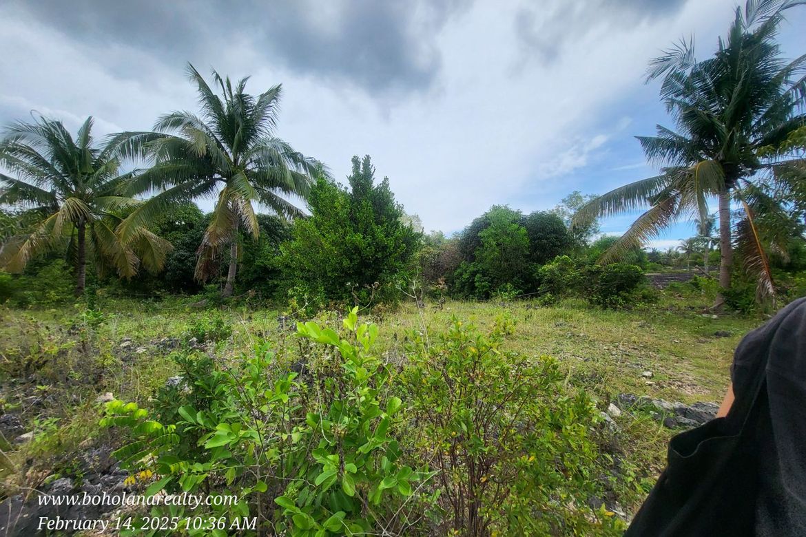 Land for Sale in Biking, Dauis, Bohol
