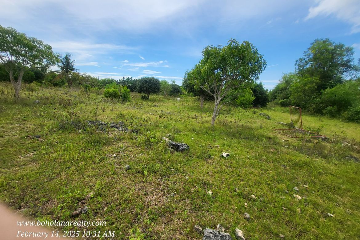 Land for Sale in Biking, Dauis, Bohol – photo 3