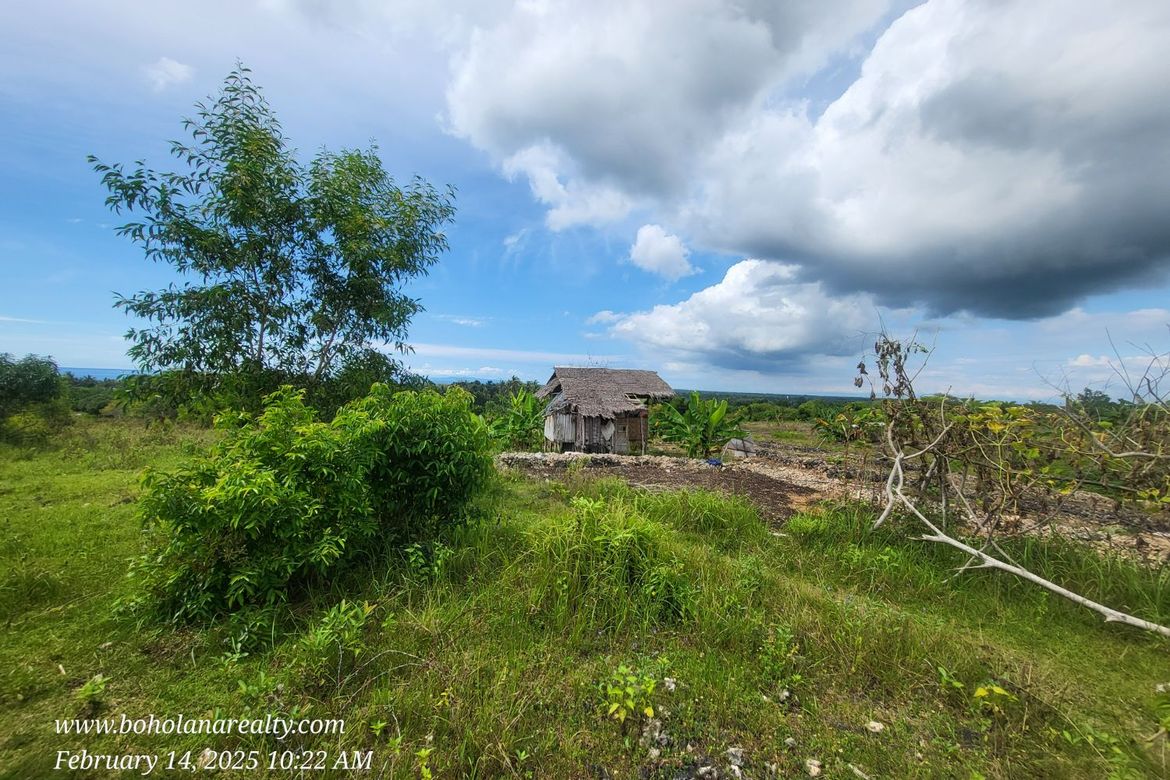 Land for Sale in Biking, Dauis, Bohol – photo 5