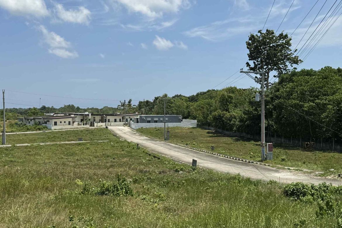 Land for Sale in Biking, Dauis, Bohol – photo 5
