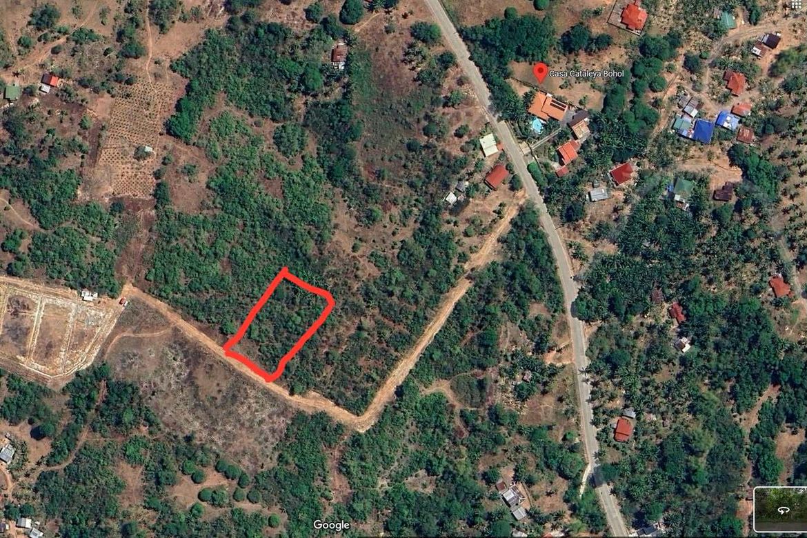 Land for Sale in Biking, Dauis, Bohol – photo 5