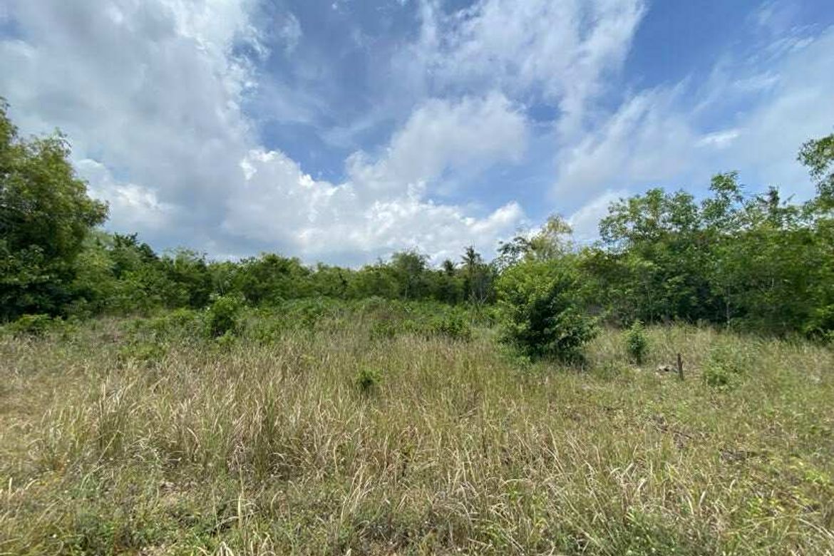Land for Sale in Biking, Dauis, Bohol – photo 2