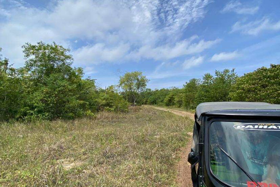 Land for Sale in Biking, Dauis, Bohol – photo 4