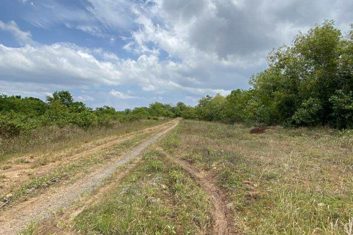 Land for Sale in Biking, Dauis, Bohol – photo 4