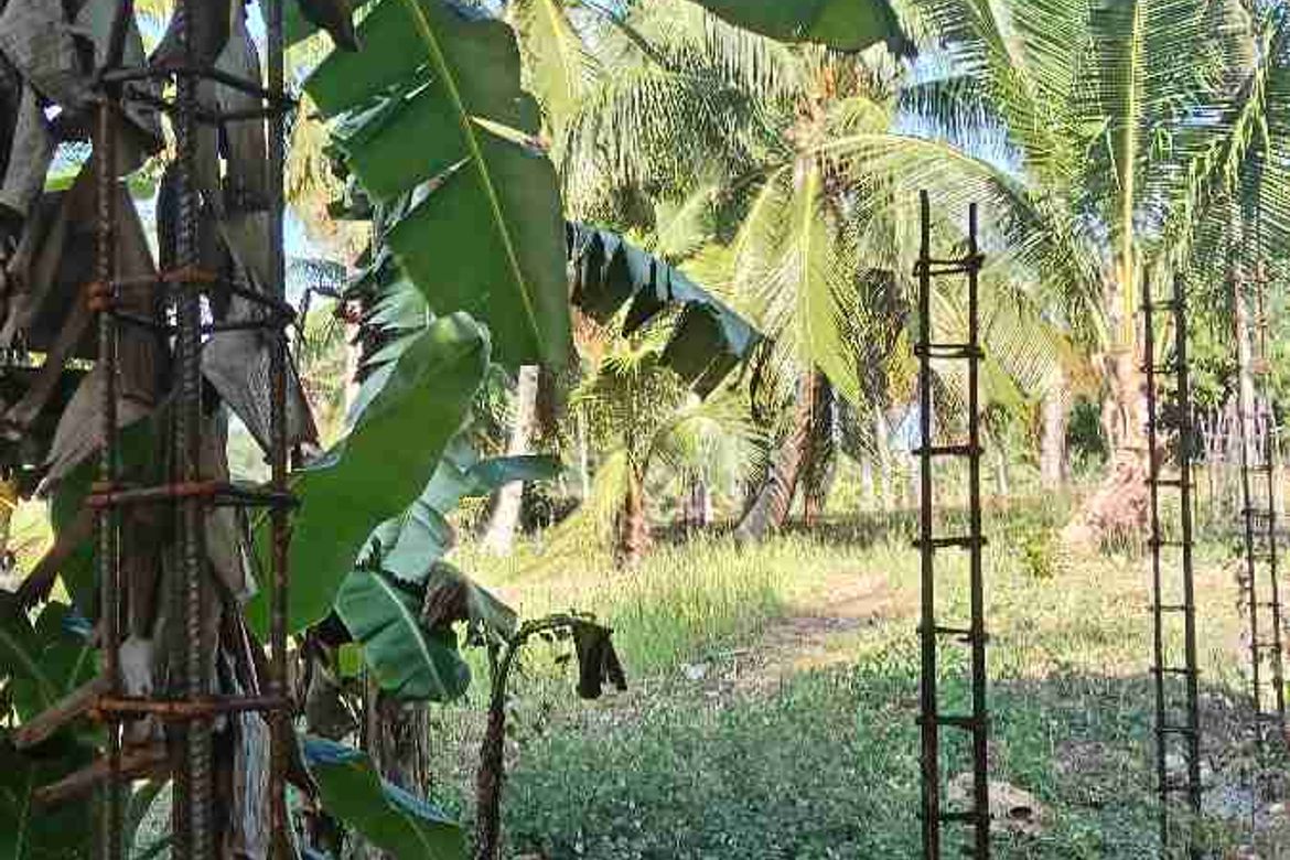 Land for Sale in Biking, Dauis, Bohol – photo 11