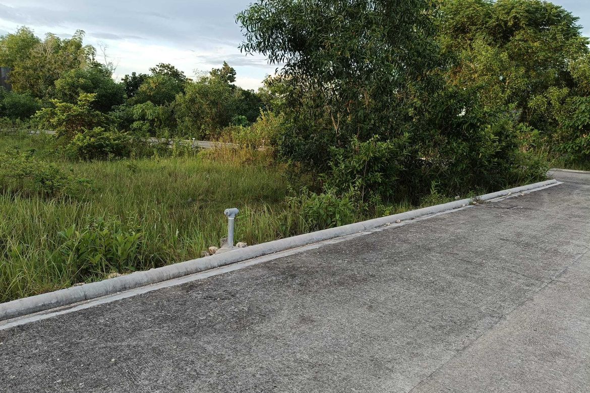 Land for Sale in Bil-Isan, Panglao, Bohol – photo 6