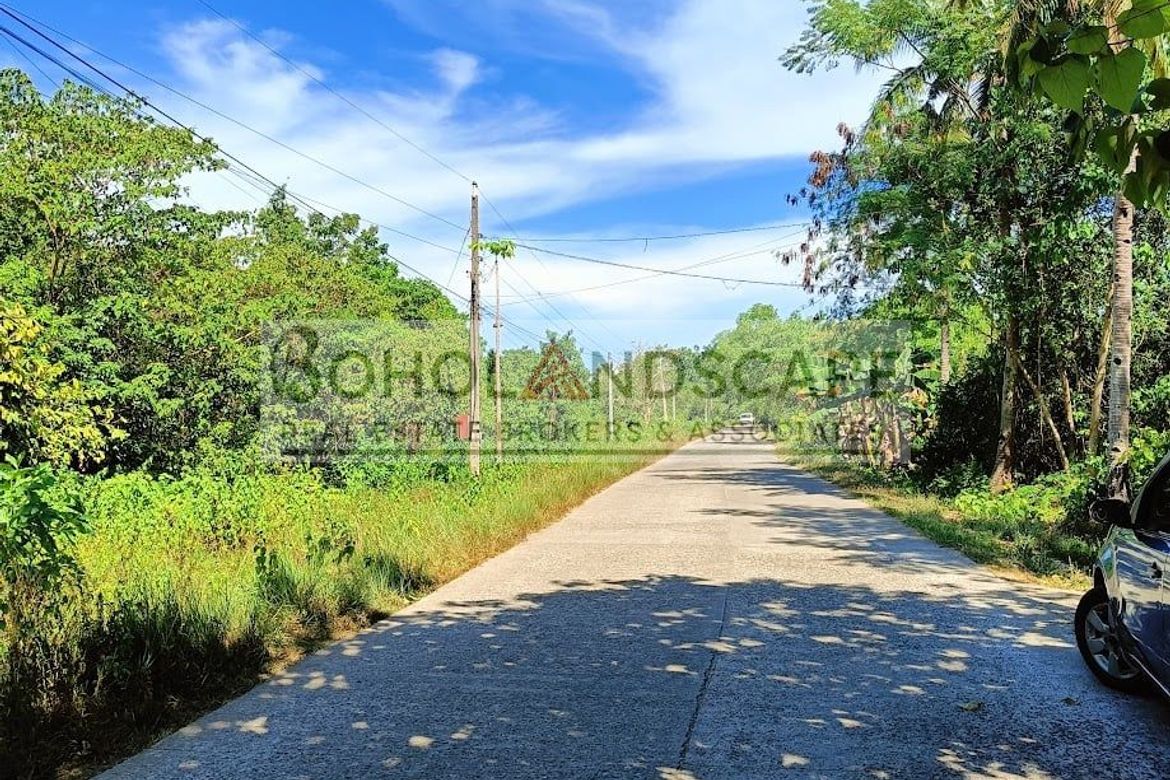 Land for Sale in Bil-Isan, Panglao, Bohol