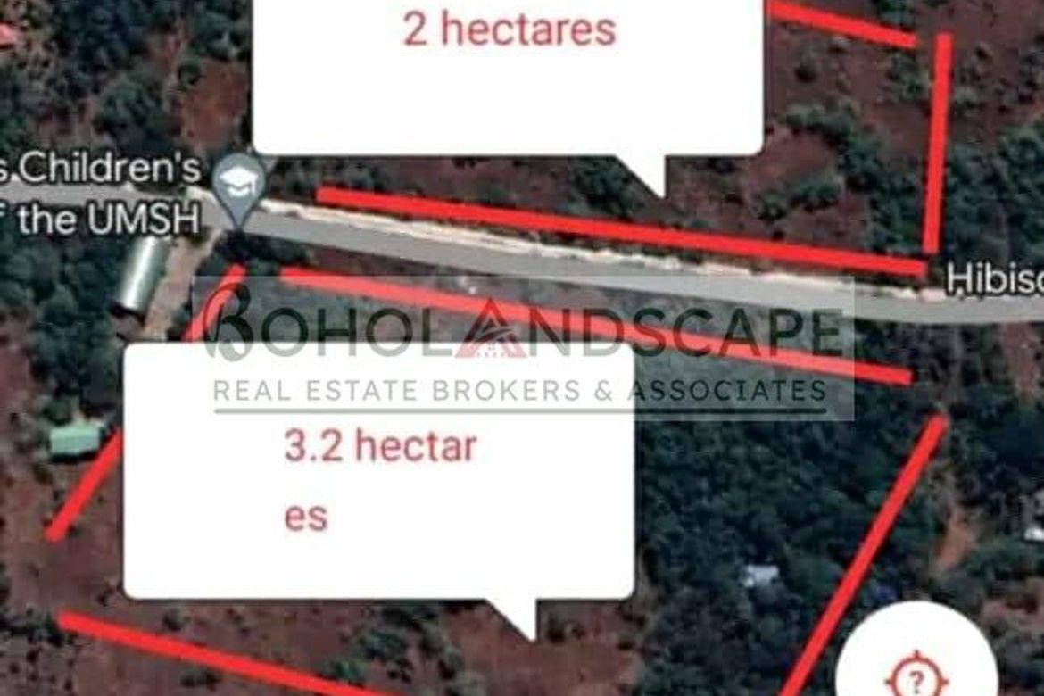 Land for Sale in Bil-Isan, Panglao, Bohol – photo 2