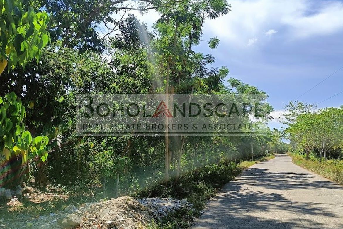 Land for Sale in Bil-Isan, Panglao, Bohol – photo 6