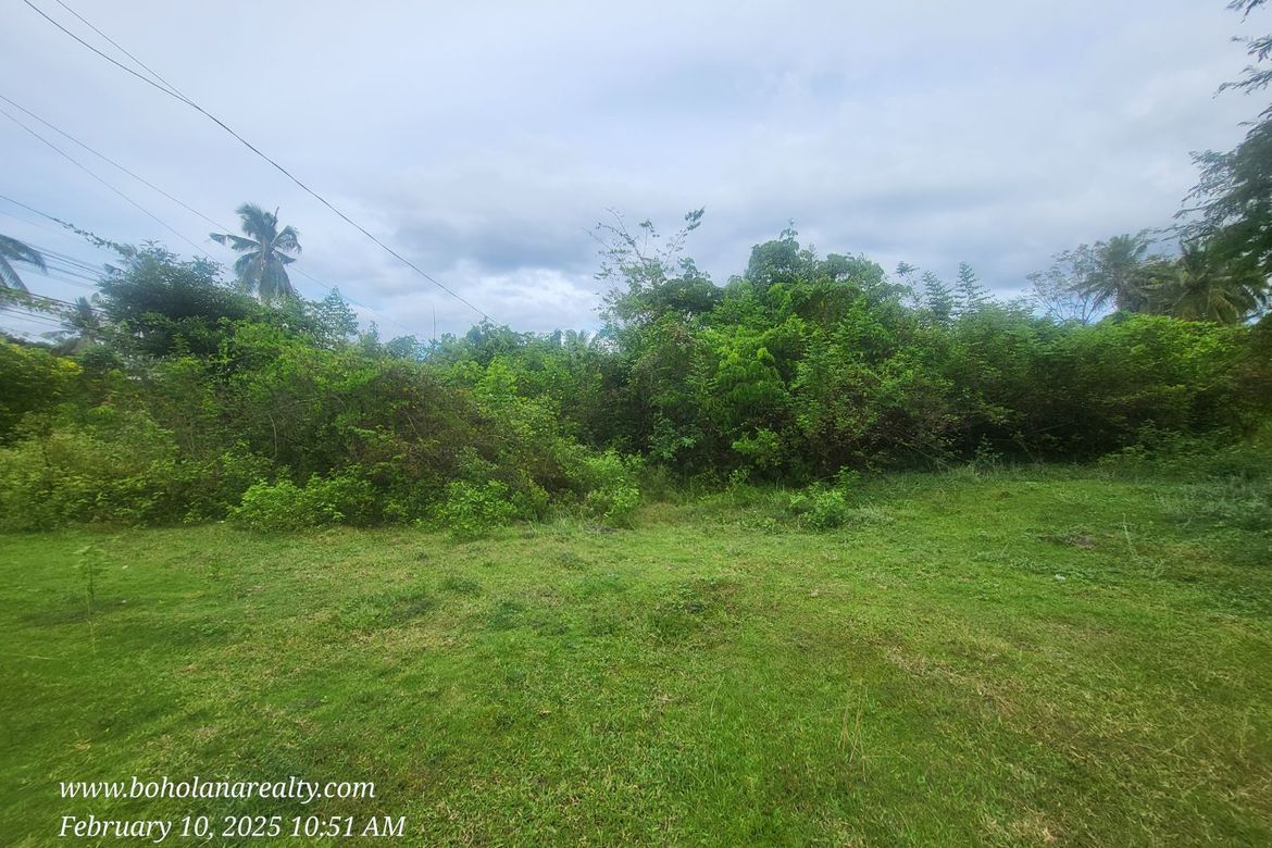 Land for Sale in Bil-Isan, Panglao, Bohol – photo 2