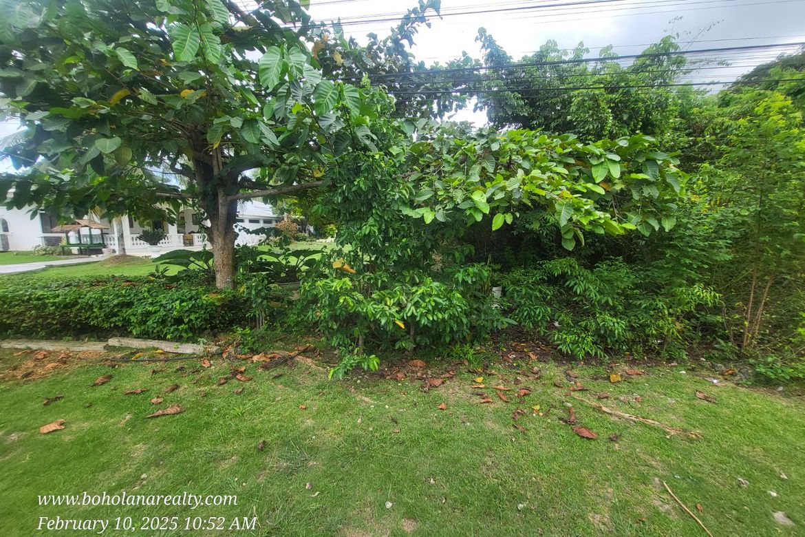 Land for Sale in Bil-Isan, Panglao, Bohol – photo 4