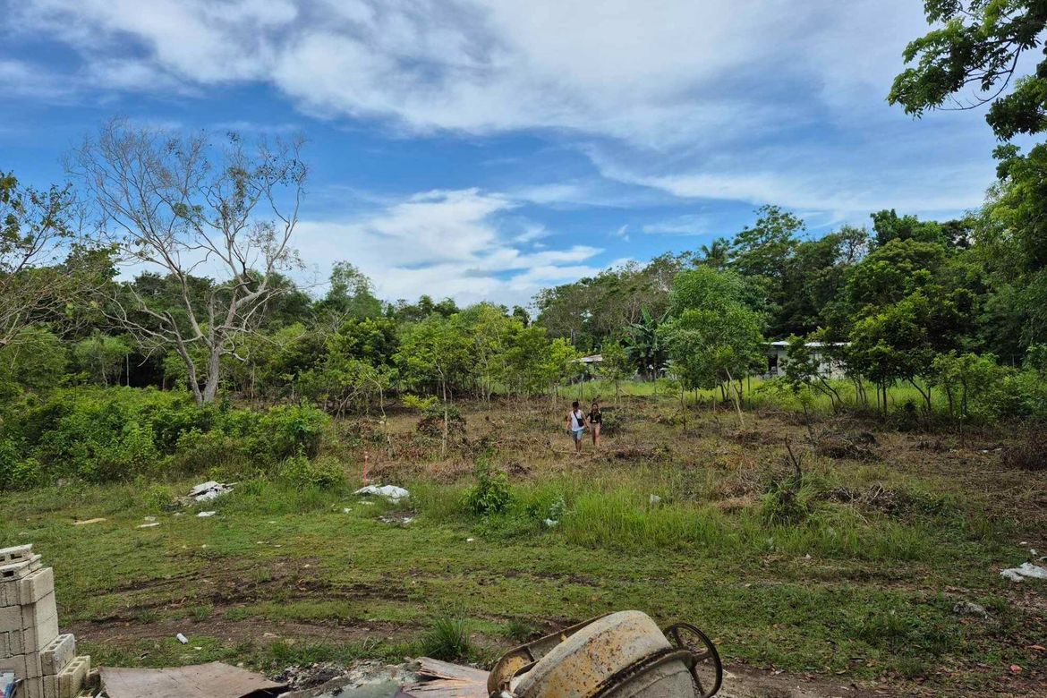 Land for Sale in Bil-Isan, Panglao, Bohol – photo 5