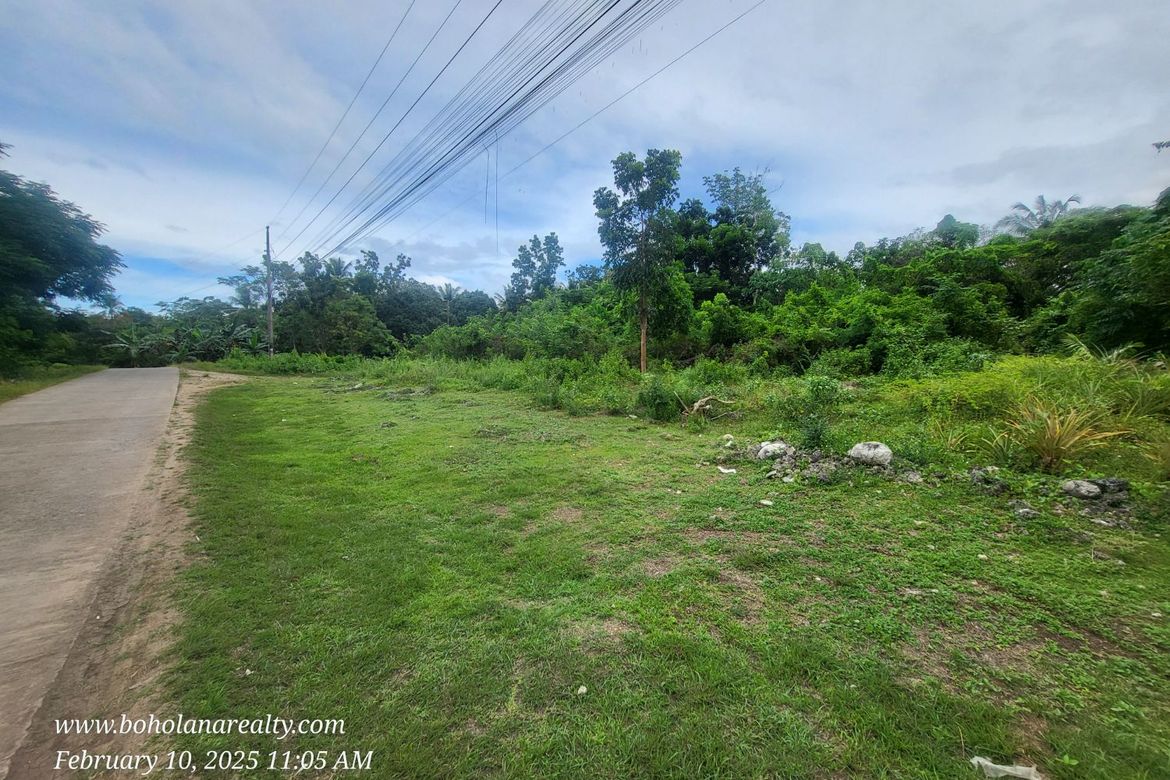Land for Sale in Bil-Isan, Panglao, Bohol – photo 4