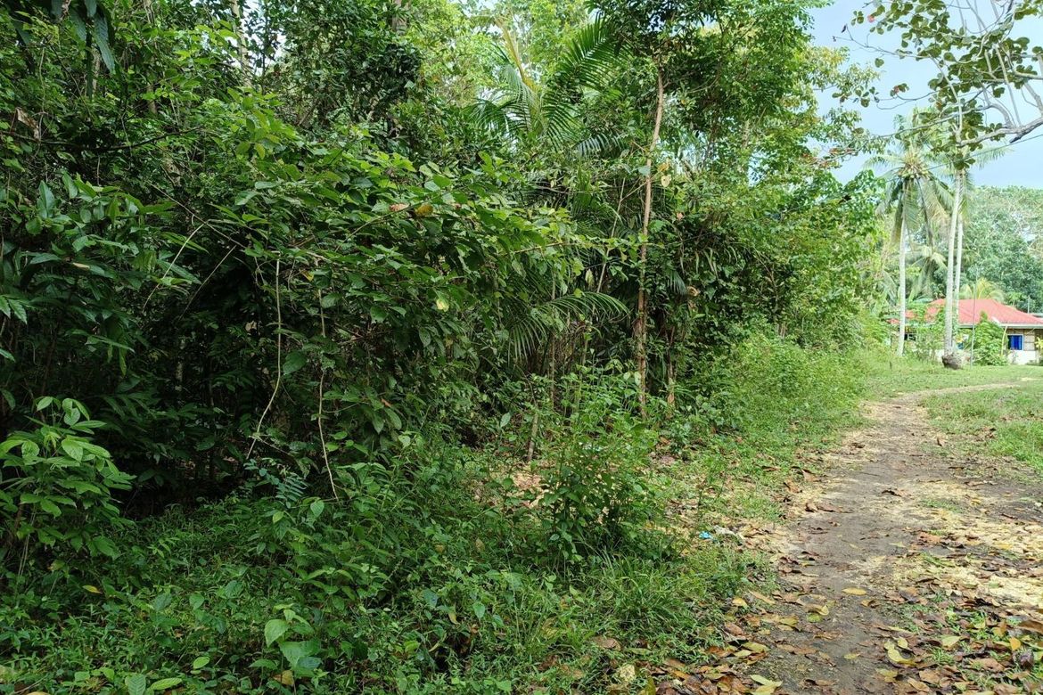 Land for Sale in Bil-Isan, Panglao, Bohol