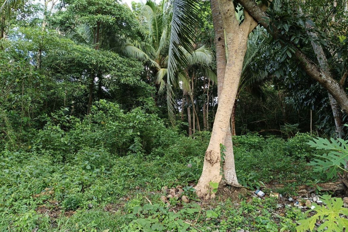 Land for Sale in Bil-Isan, Panglao, Bohol – photo 4