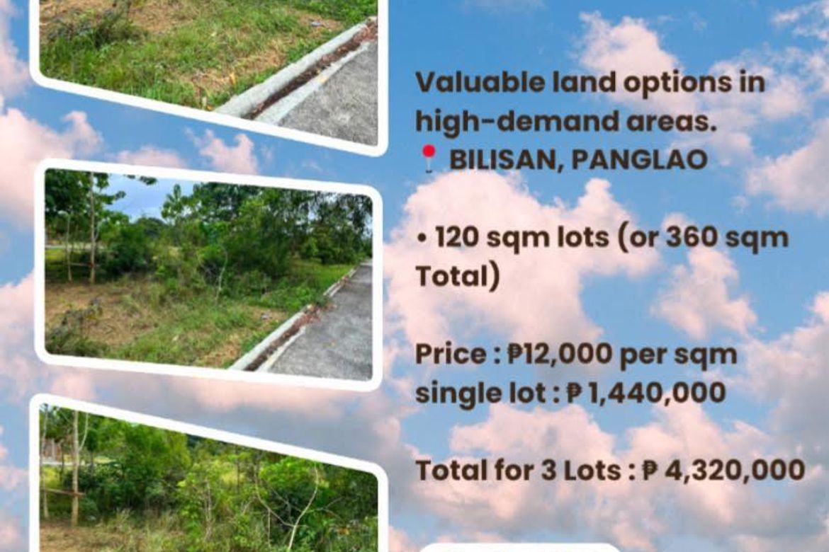 Land for Sale in Bil-Isan, Panglao, Bohol