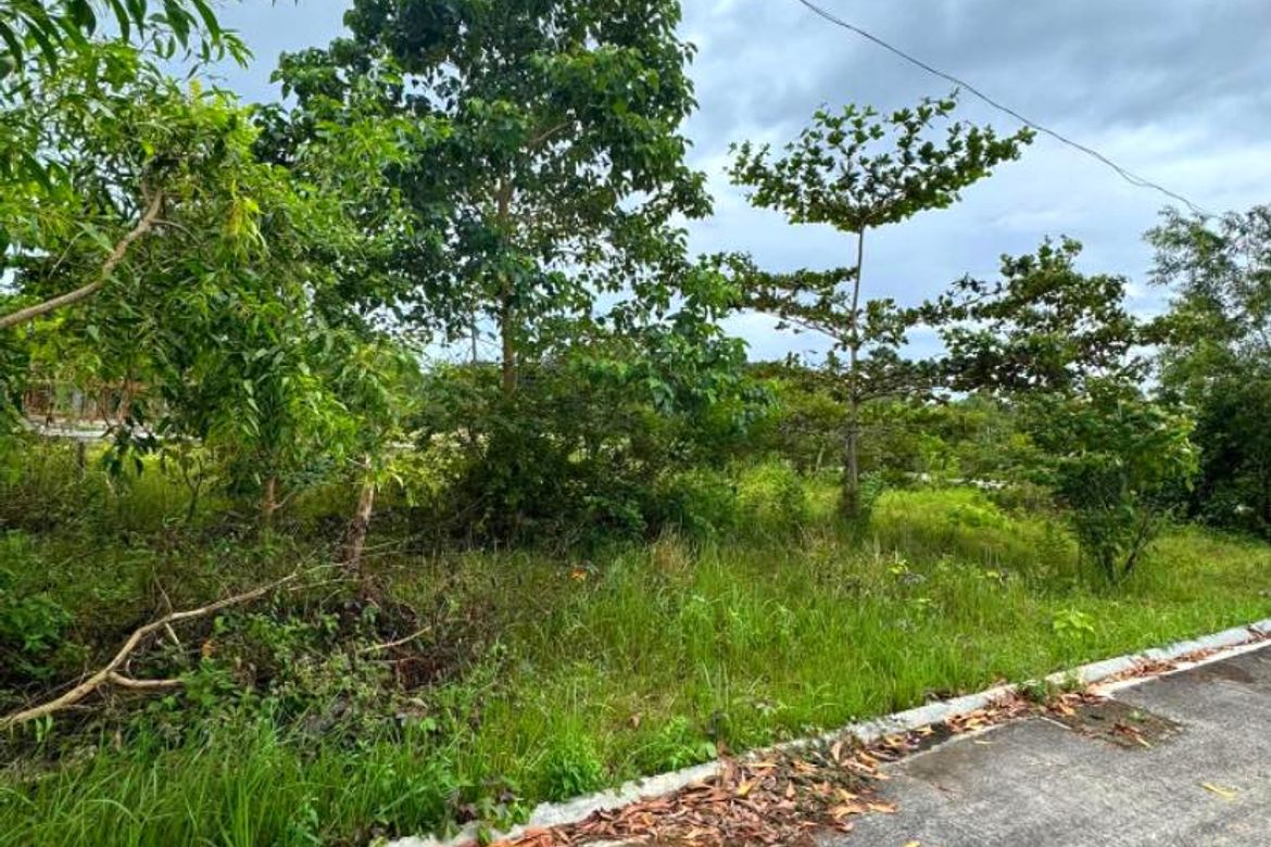 Land for Sale in Bil-Isan, Panglao, Bohol – photo 3